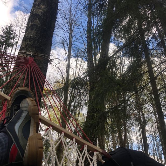 annagrischina в LOOKY. . Тихий час#дятел#белк...