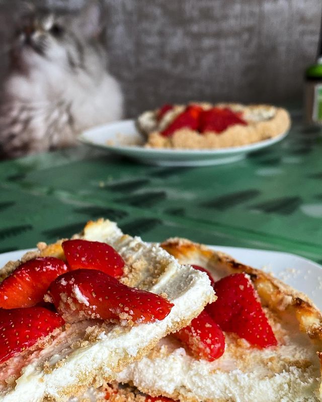 za.ru.na в LOOKY. #королевскаяватрушка. Сидим с котом на мар...