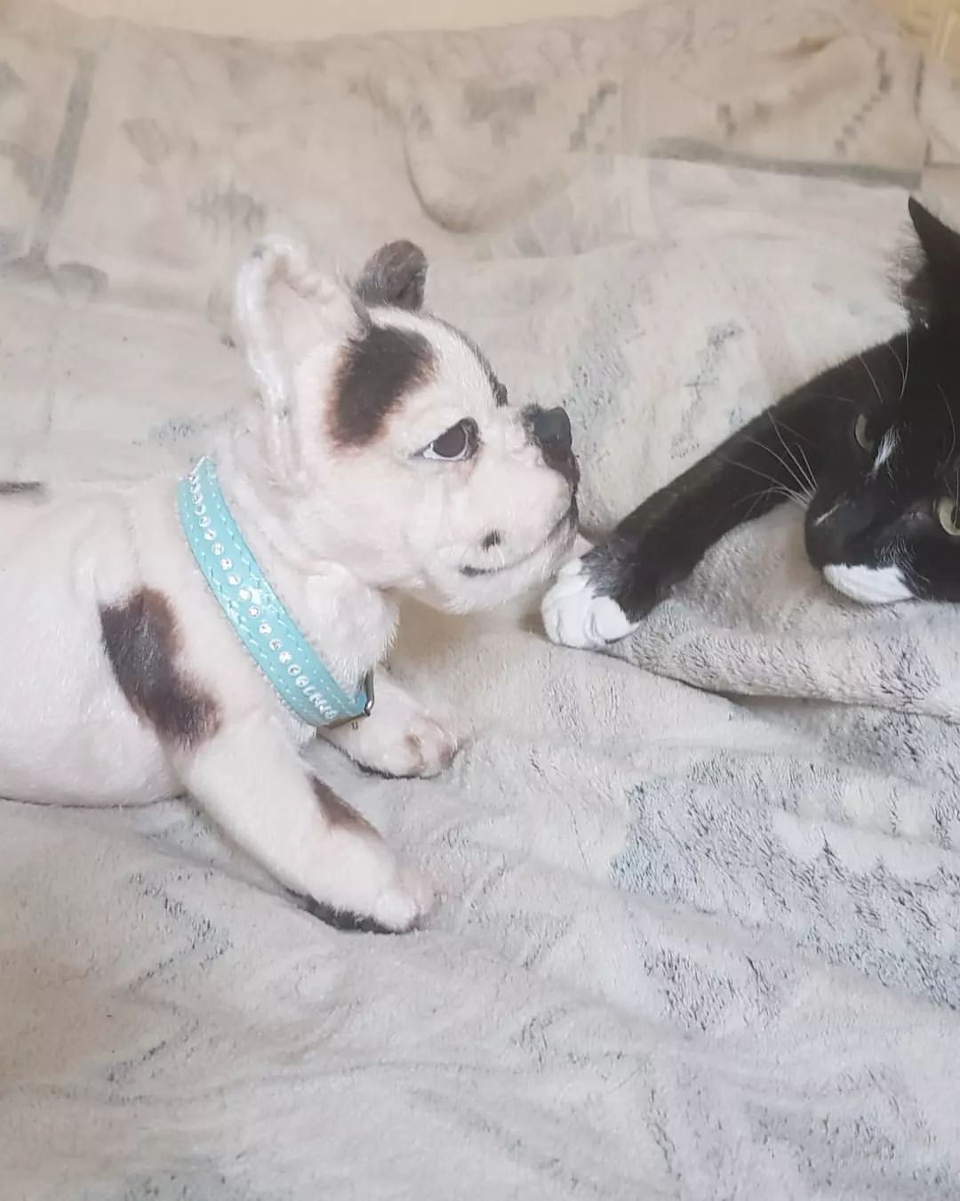 nataljaastagift в LOOKY — фото 3