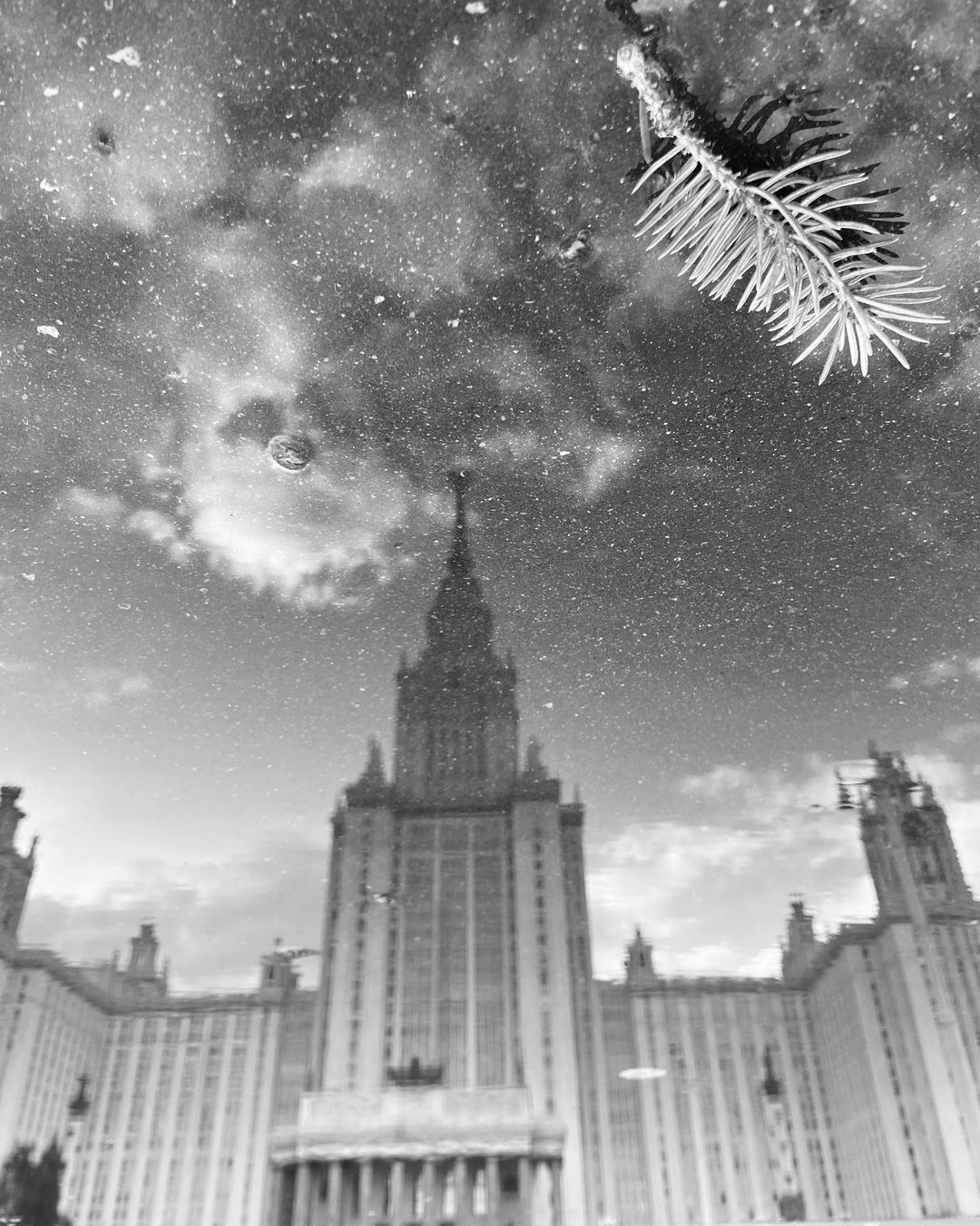 photo_barkate в LOOKY — фото 2