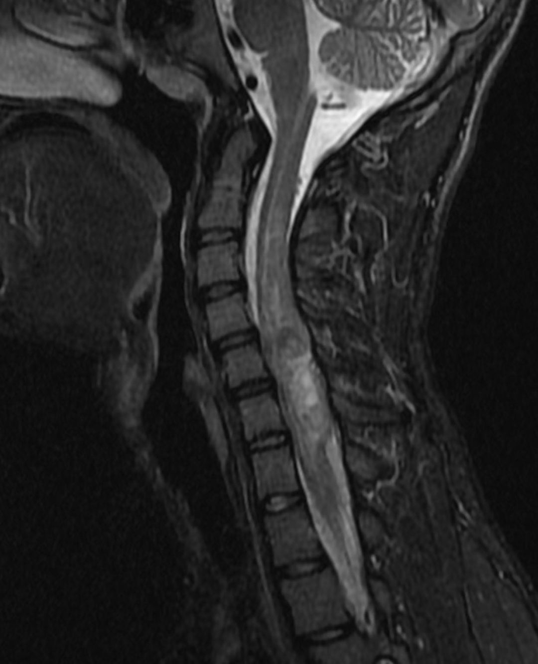 russianradiology в LOOKY — фото 5