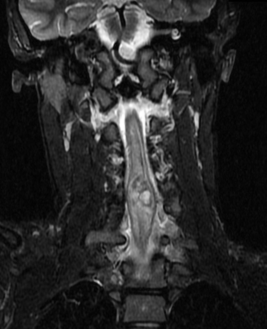 russianradiology в LOOKY — фото 6