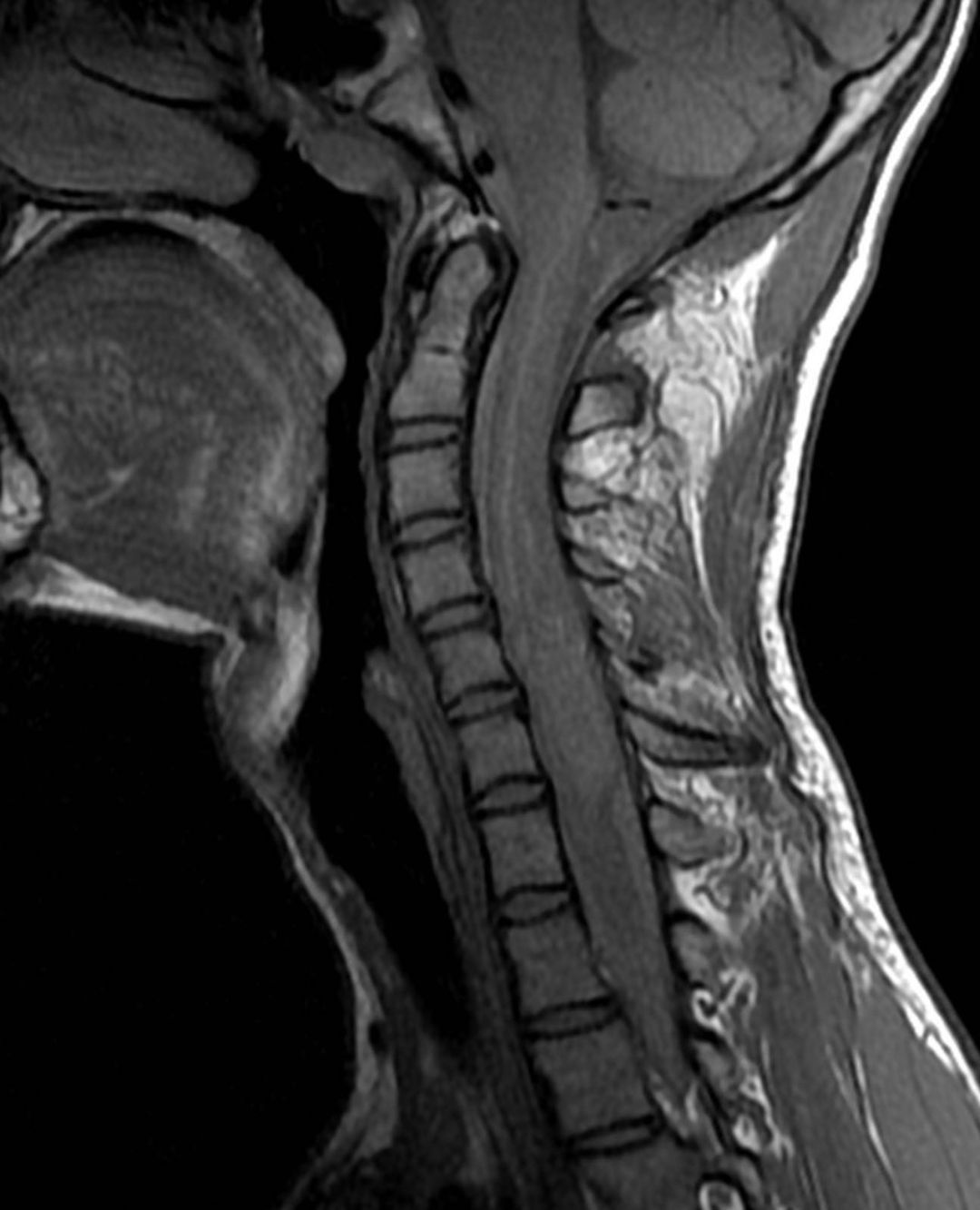russianradiology в LOOKY — фото 4