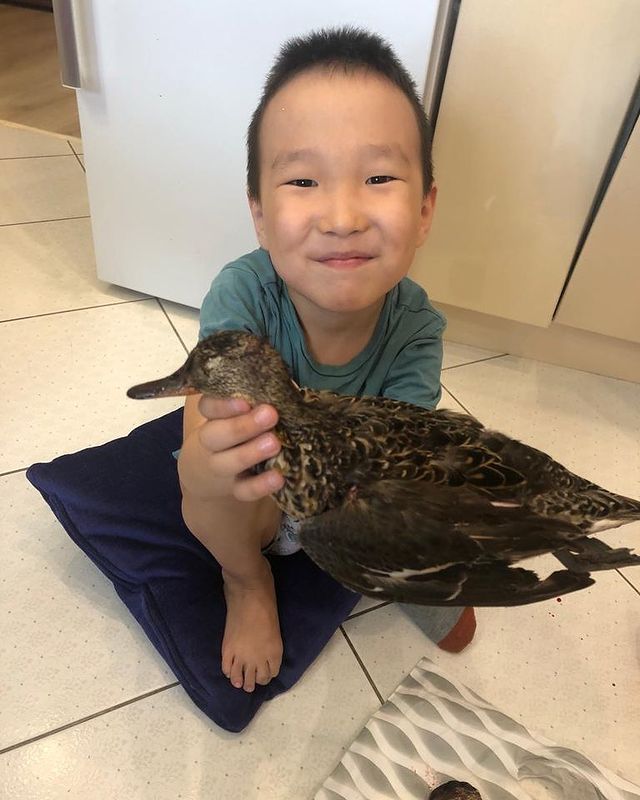 ivan23062015 в LOOKY. . 🦆🦆🦆