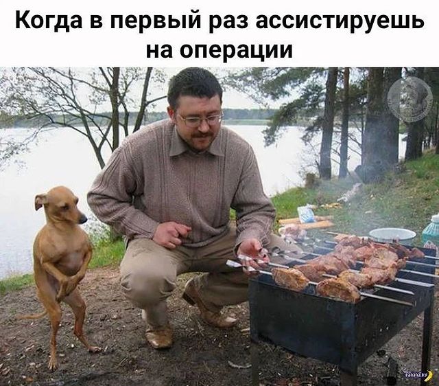 dr_kuryanov_official в LOOKY. . 😂