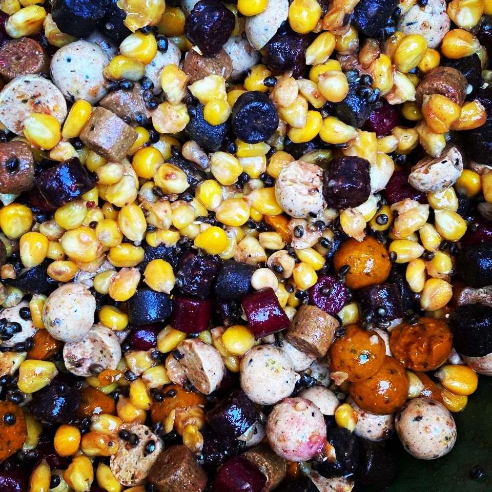 dream_fishing_kot_kitty в LOOKY — фото 1