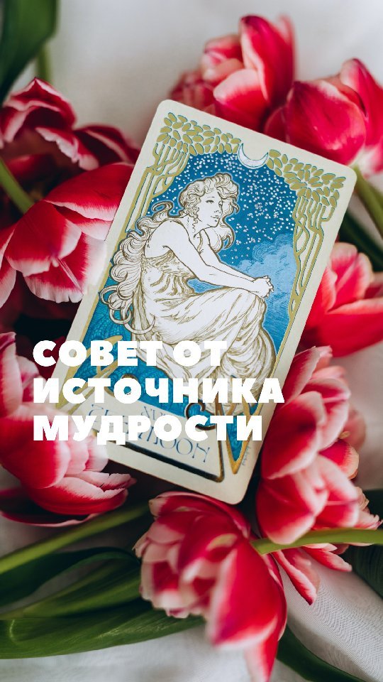 taroshnaia в LOOKY. #таро,#тароонлайнбесплатно,#оракулчакрнадень,#предсказание,#мотивация,#reels,#раскладыонлайн,#консудьтациятаро. Поставь лайк и напиш...