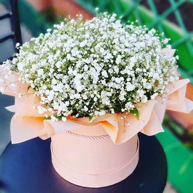 flowers_shop_zimovniki в LOOKY. #цветызимовники,#цветы24,#савина120,#купитьцветызимовники,#доставкацветовзимовники,#букетзимовники,#гелиевыешарызимовники,#цветыназаказзимовники,#цветыкруглосуточнозимовники. Принимаем заказы:
~п...