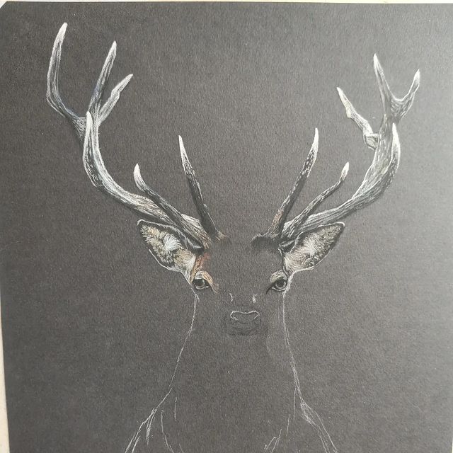 slastina_art в LOOKY. #олень,#пастель,#бумагадляпастели,#рисунокпастелью#панпастель,#stabilo,#Dervent,#kohinoor,#pastelart#canson. Процесс #олень #паст...