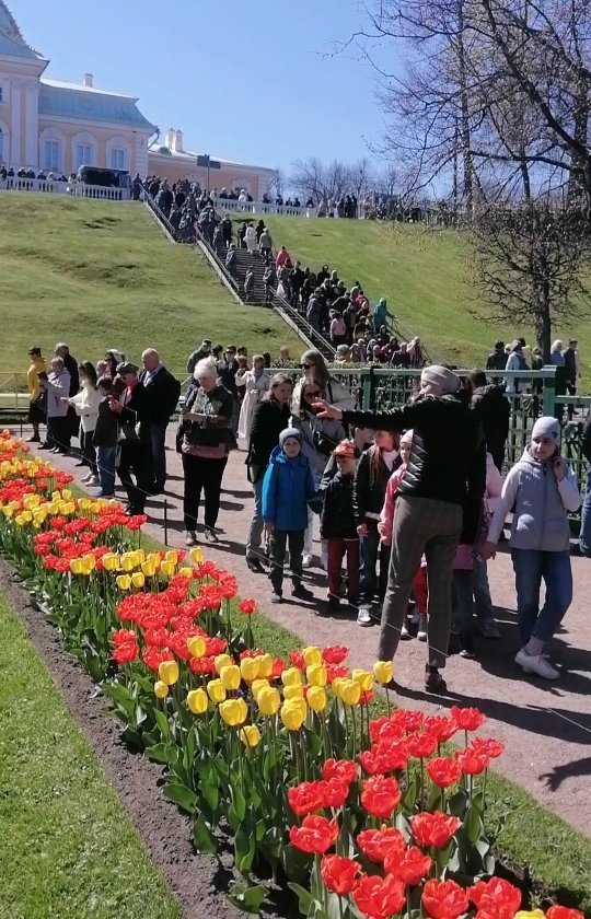 fir10vs в LOOKY. #фонтаны,#петергоф,#fountains,#спб,#питер,#санктпетербург,#peterhof,#прогулка,#spb,#россия,#travel,#russia,#travelphotography,#saintpetersburg,#фонтан,#вечер,#москва,#осень,#piter,#калининград,#autumn,#отдых,#sea,#park,#moscow,#instatravel,#fountain,#петергоффонтаны,#vsco,#музыка. Петергоф – одна из г...