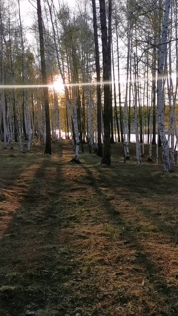 elvirabolshacova in LOOKY. . Место для вдохновени...