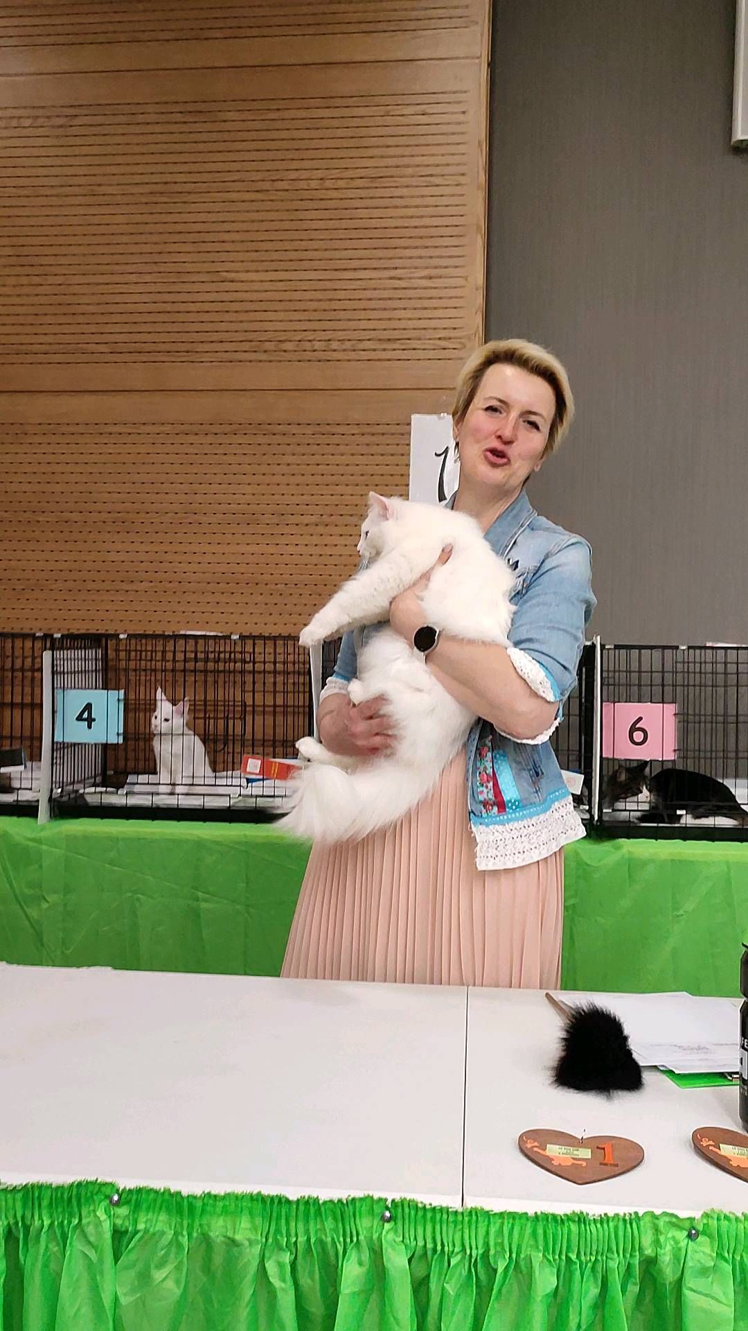 gardemarincat в LOOKY. #icu,#icucats,#catshow,#whitecat,#nick_vezunchik. #icu #icucats #catsh...
