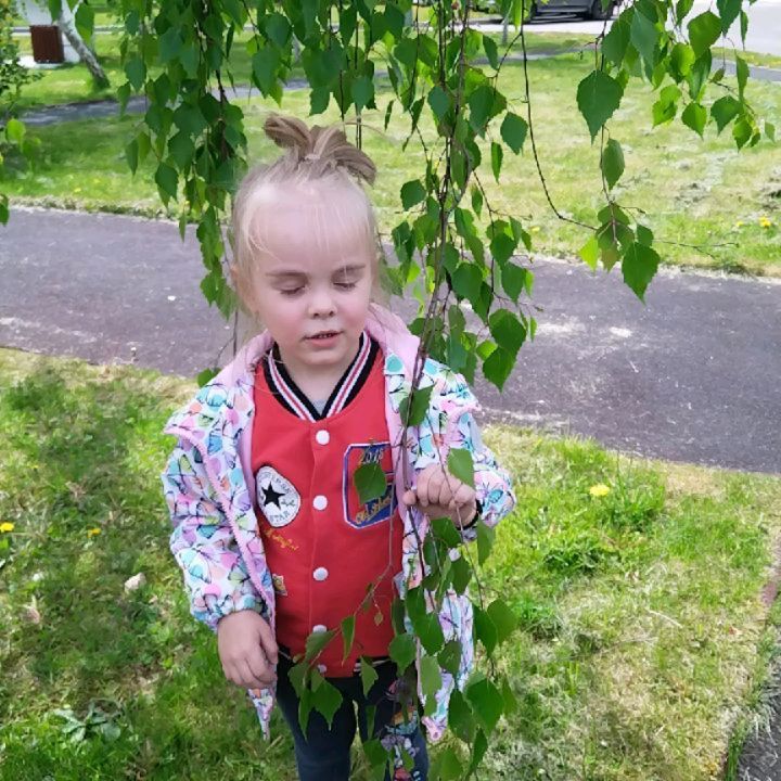 _mango_mama_ в LOOKY. . Ох эта береза , бере...