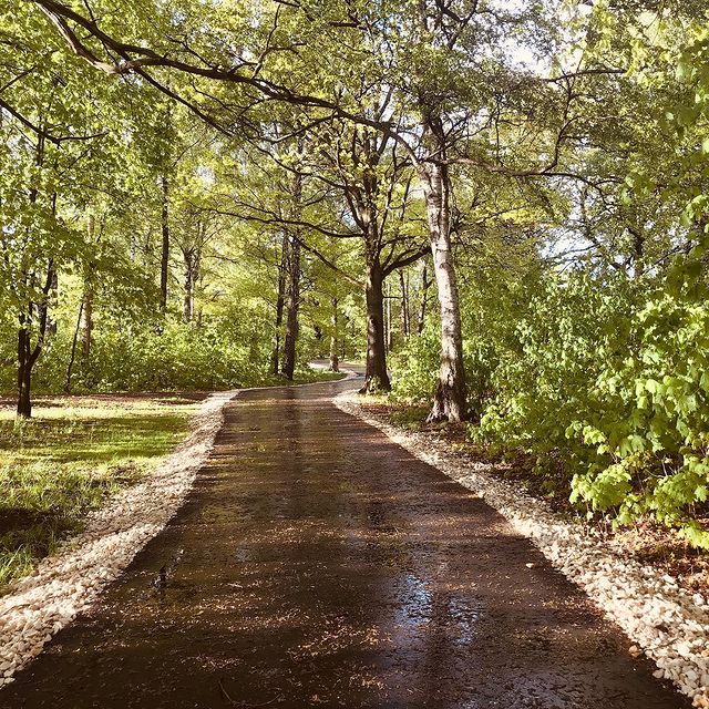 petrovich21 в LOOKY. . null