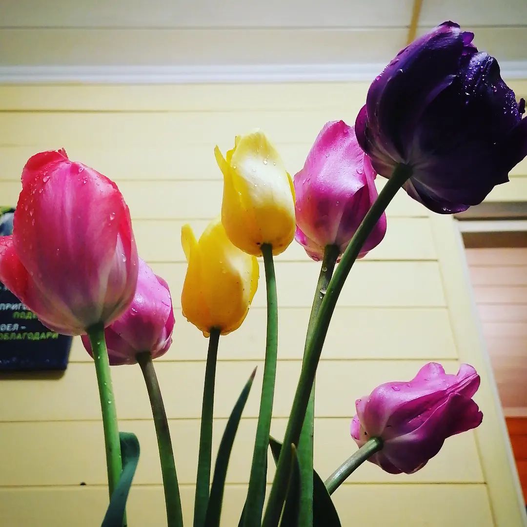 😜🌺