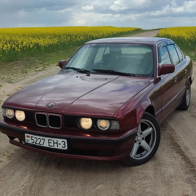 _v1nni в LOOKY. #bmwgram,#bmw,#bmwlife,#bmwmotorsport,#bmwclub,#фото,#красивоефото,#природа,#belarus,#bmwm5,#bmwlove. #bmwgram #bmw #bmwli...