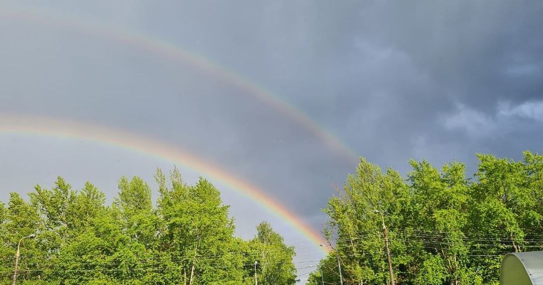 jul_fedortsova в LOOKY — 🌈