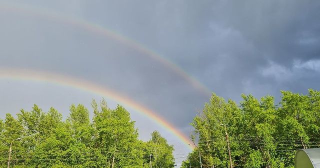 jul_fedortsova в LOOKY. . 🌈
