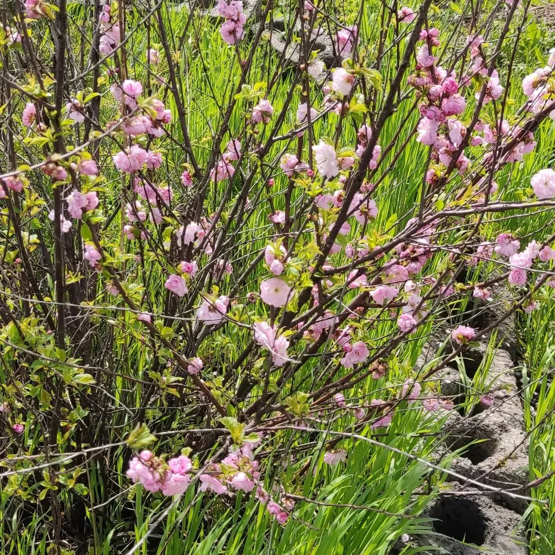 manyashasun в LOOKY — фото 5