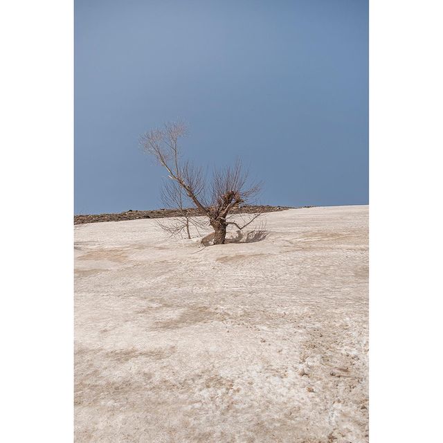 zolipics в LOOKY. #everydayeverywhere,#documentary,#gettyimageinstagramgrant,#lensculture,#burnmagazine,#azerbaycan,#reportagespotlight,#MEdailylife,#bnw_users,#phmuseum,#akasimagazine,#bnw_society,#topbnw,#bnw_demend,#everydayasia,#everydayiran,#iran_images,#everydayazb,#roozdaily,#irancumentary,#lenspersia,#turkey,#streetphot,#thestreetphotograohyhub,#friendsinbnw,#friendsinstreets,#ir_dailyshots,#tabriz#appleiphone,#tiktok. #everydayeverywhere ...