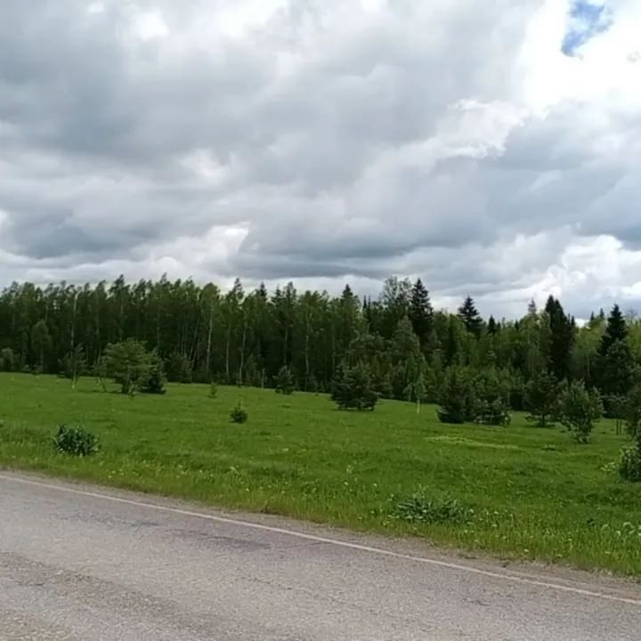 guzelkagt в LOOKY. . Поездка в Успенский ...