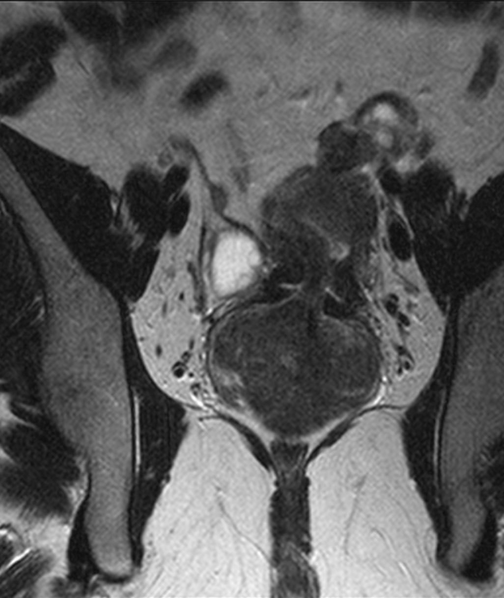 russianradiology в LOOKY — фото 2