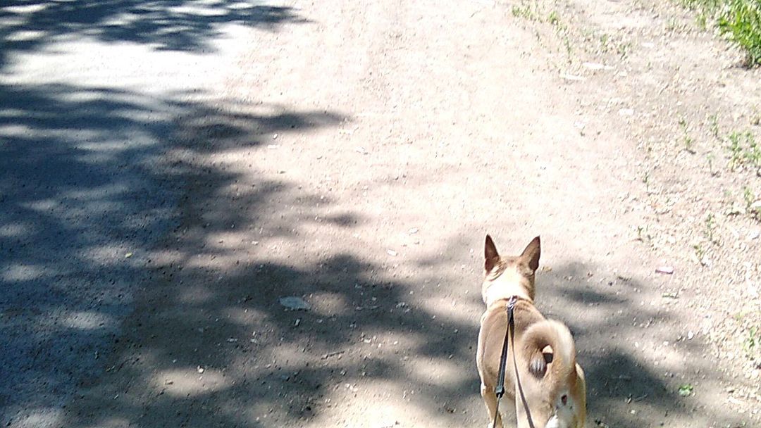 va1ieva_di в LOOKY. . null