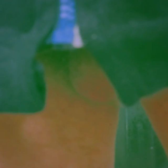 Juan Argho в LOOKY. . null