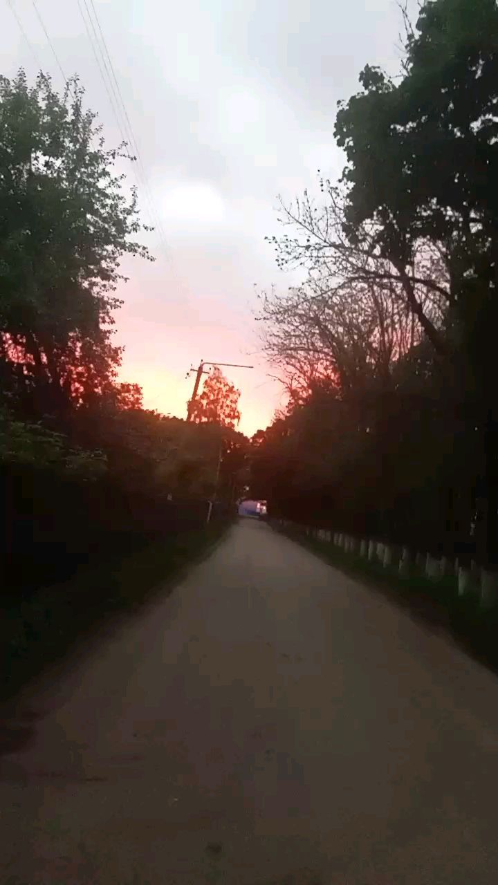 kris.shewchenko в LOOKY. . null