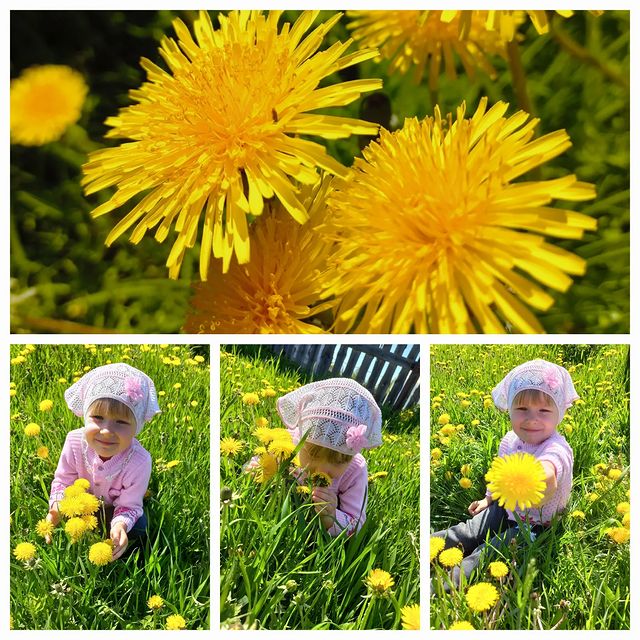 grebenkina.alenka в LOOKY. #Дарина,#моймаленькиймир👼,#мойДар. Одуванчиковое настро...