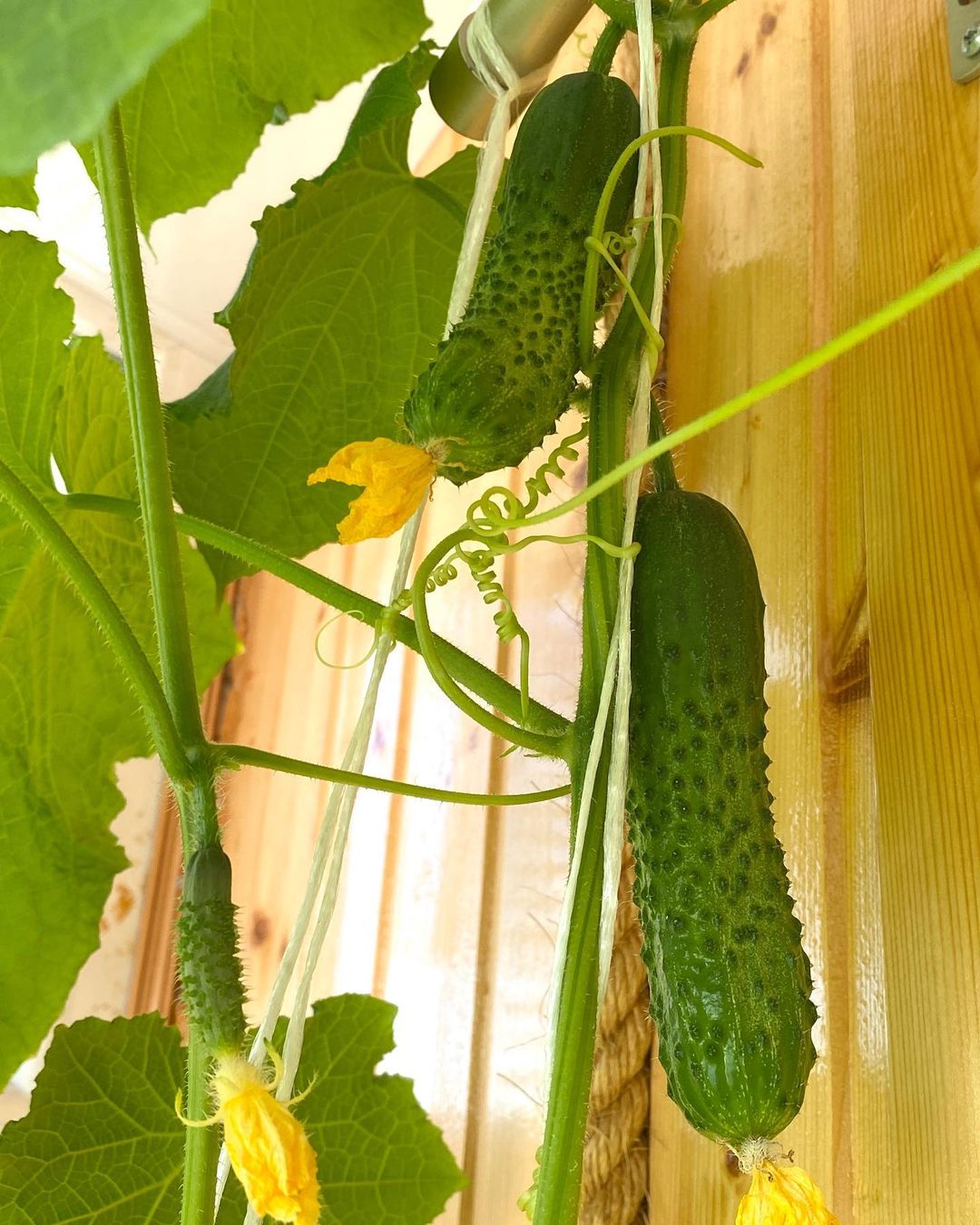 yuliashchadnykh в LOOKY — фото 2