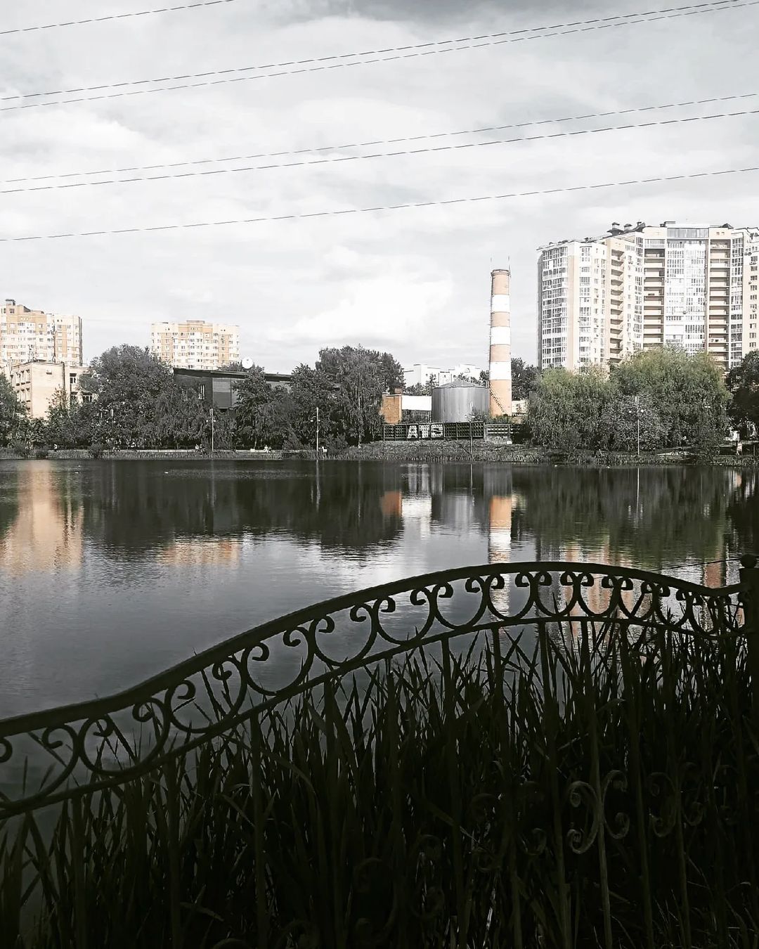 darya_art2020 in LOOKY. #подмосковье,#выходные,#прогулка,#shotbymi. Пушкино, Московская ...