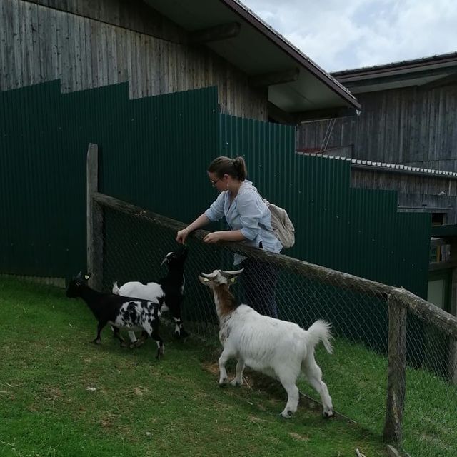 dkkwiii в LOOKY. . mom🤍🐐