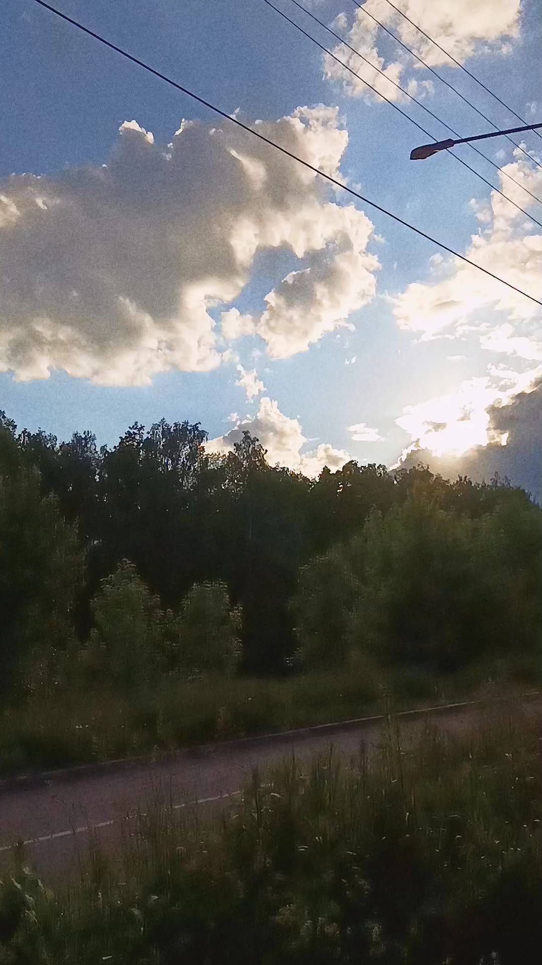 veroveonika в LOOKY. . Лето, лес, спокойств...