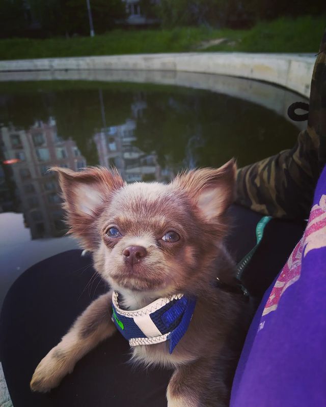 miroviktoriya в LOOKY. #вечерняя,#прогулка. #вечерняя#прогулка#�...