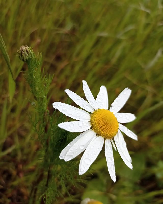ljubov_ai в LOOKY. . 💕💕💕