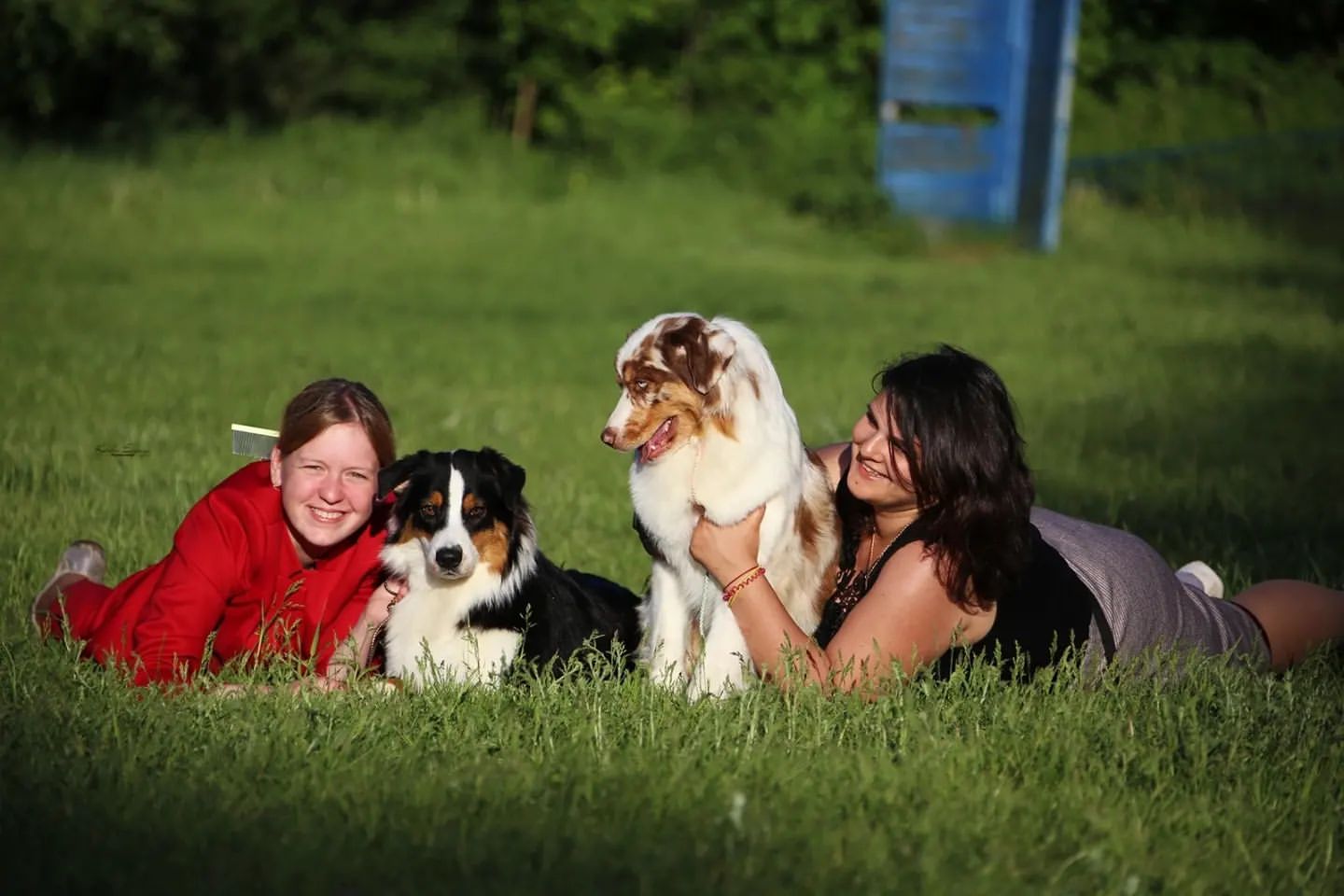 iz_doma_korolevoi_kennel в LOOKY — фото 6