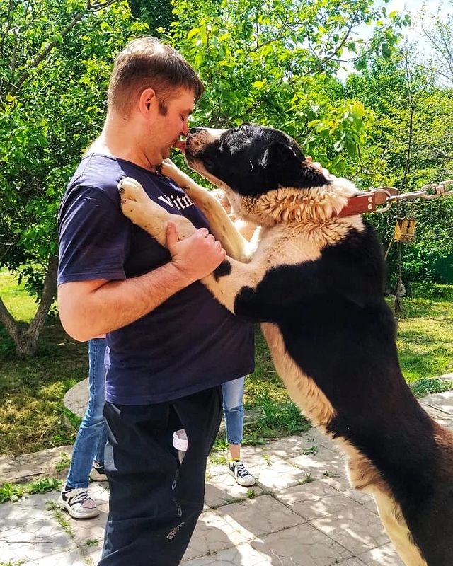 shklyaevpavel в LOOKY. . Отличные выходные с ...