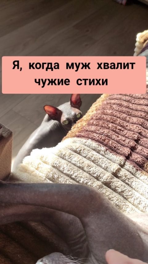 poems_with_love_ в LOOKY. #субботнийрилс,#поэзияслюбовью,#амневсеравно. А мне все равно 😂

...