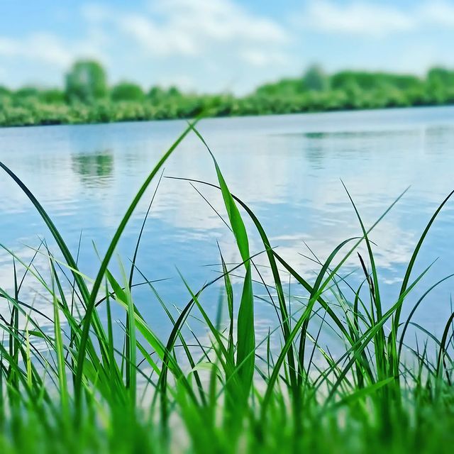 viktoriiakoltunova в LOOKY. . Сегодня природа прям...