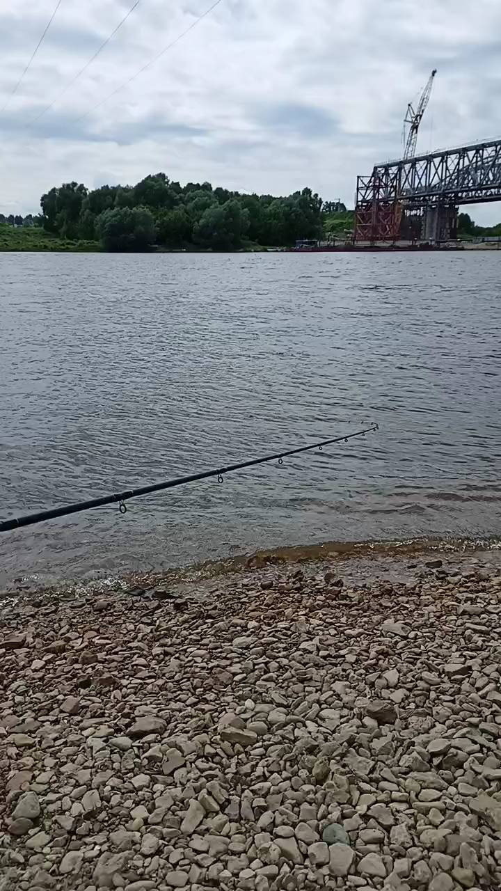 dream_fishing_kot_kitty in LOOKY