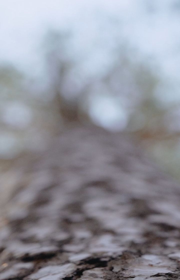 sweetyfoxnsk в LOOKY. . Большое спасибо за к...
