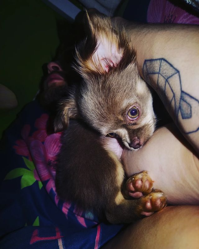 miroviktoriya в LOOKY. . 💕🐶🥰😘