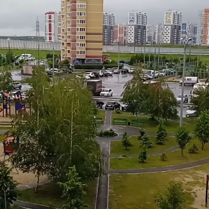 VL∆DI in LOOKY. . Всем доброе утро! | ...