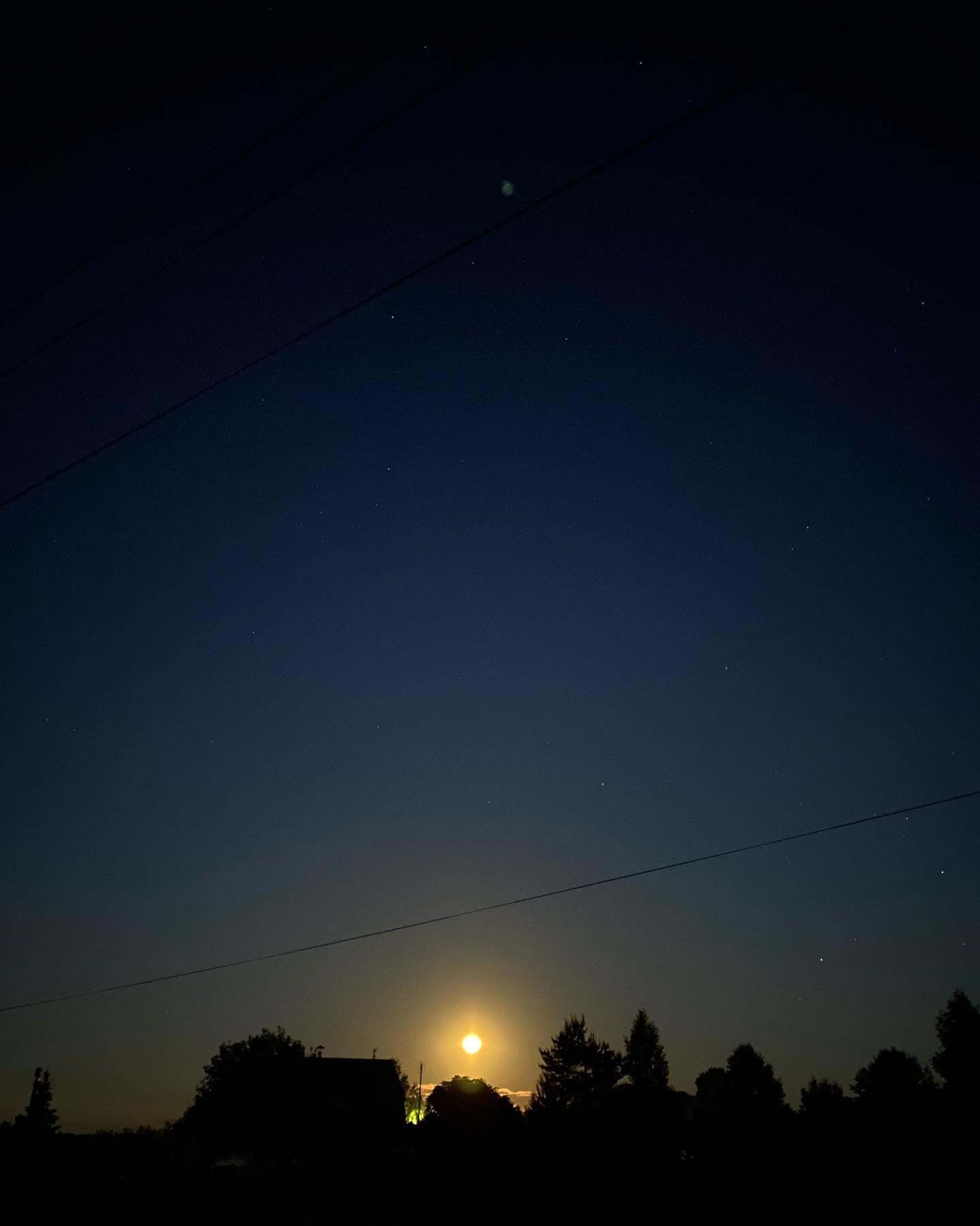 elizabeth_chuvikova в LOOKY. . Существует две вещи,...