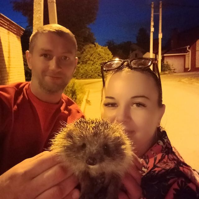 anna.hlabynina в LOOKY. . Мимо ёжик пробегал🦔...