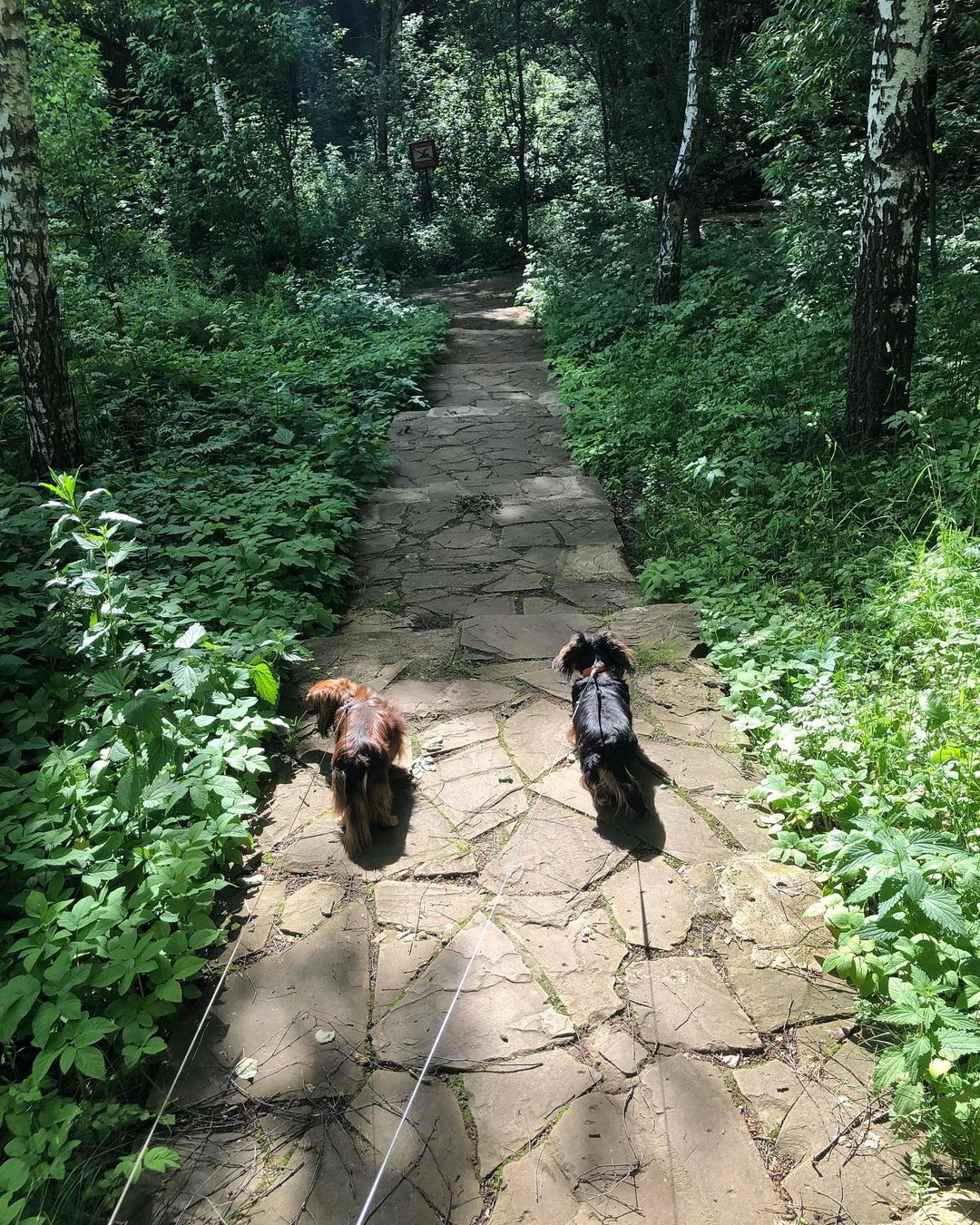 julechka2009 в LOOKY — фото 3