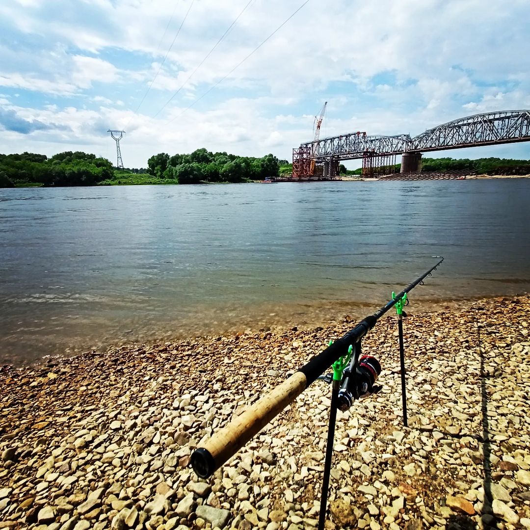 dream_fishing_kot_kitty in LOOKY