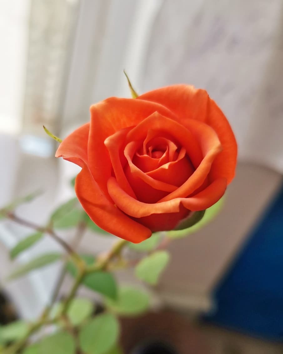 pervouralsk_from_ps в LOOKY — фото 2