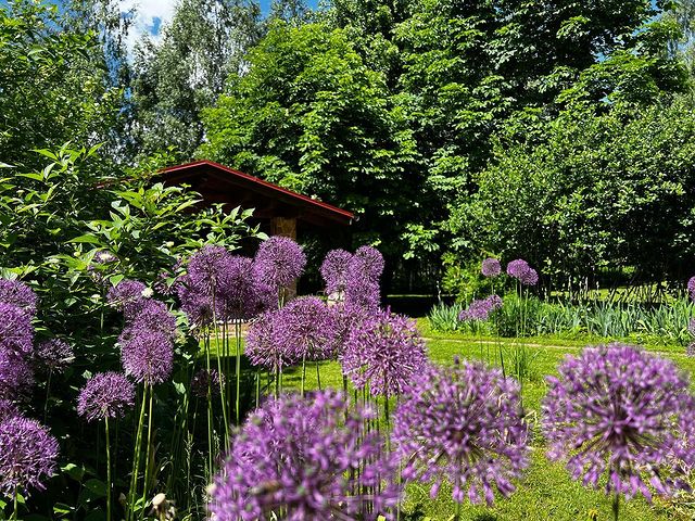 staroverova.proland в LOOKY. . Мои любимые Луки цве...